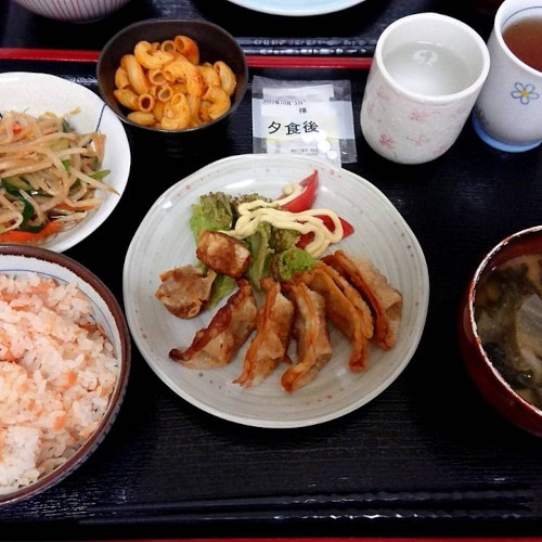 ルピナス　世話人手作りの夕食